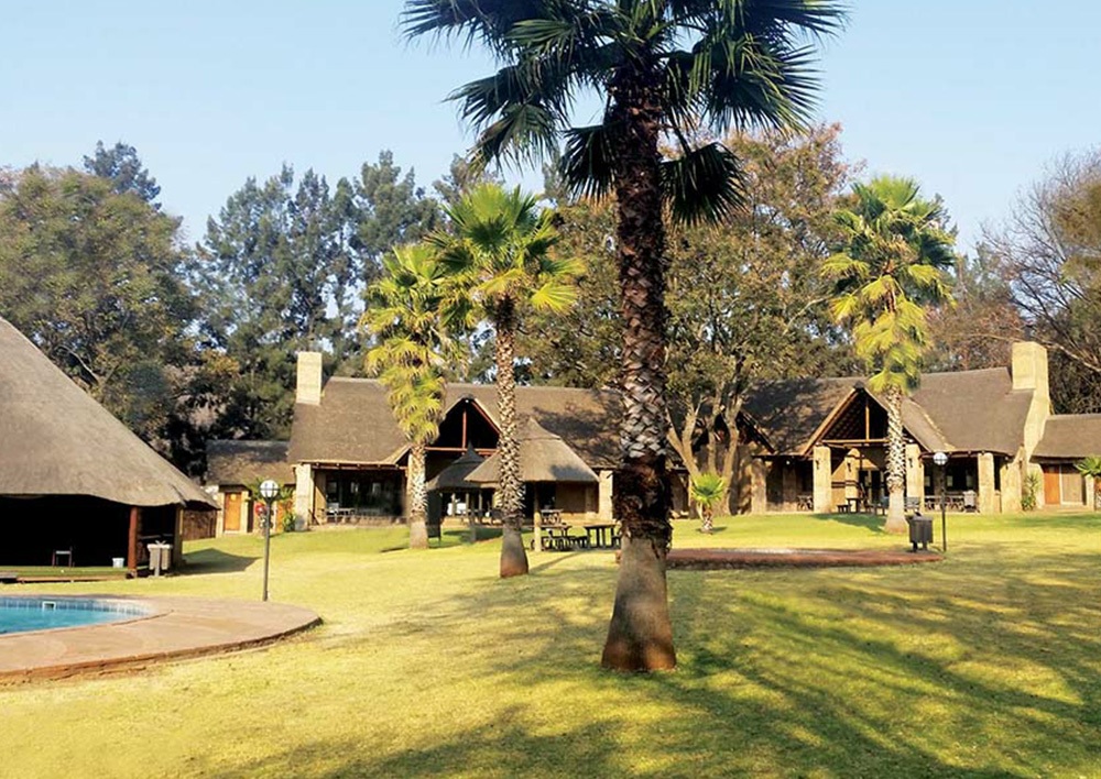 OLIFANTS-HOOF-FOTO_1