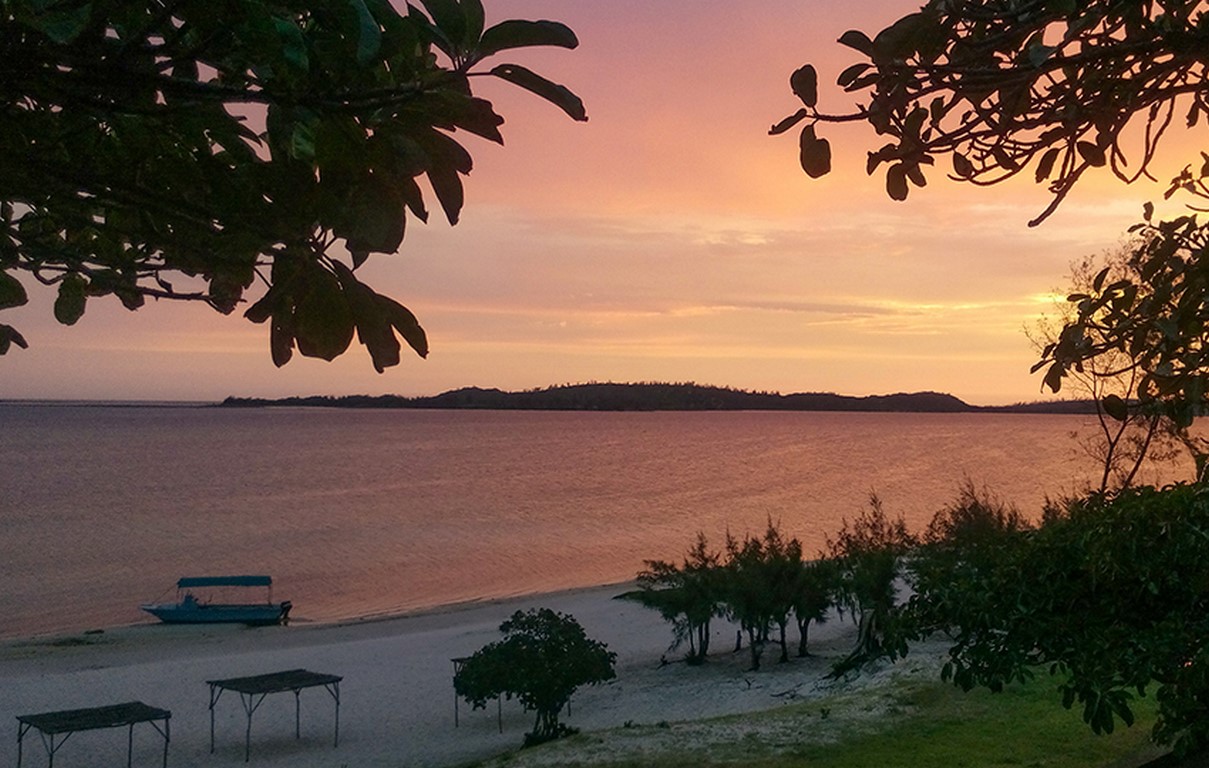 balene VIEW-17 (Copy)