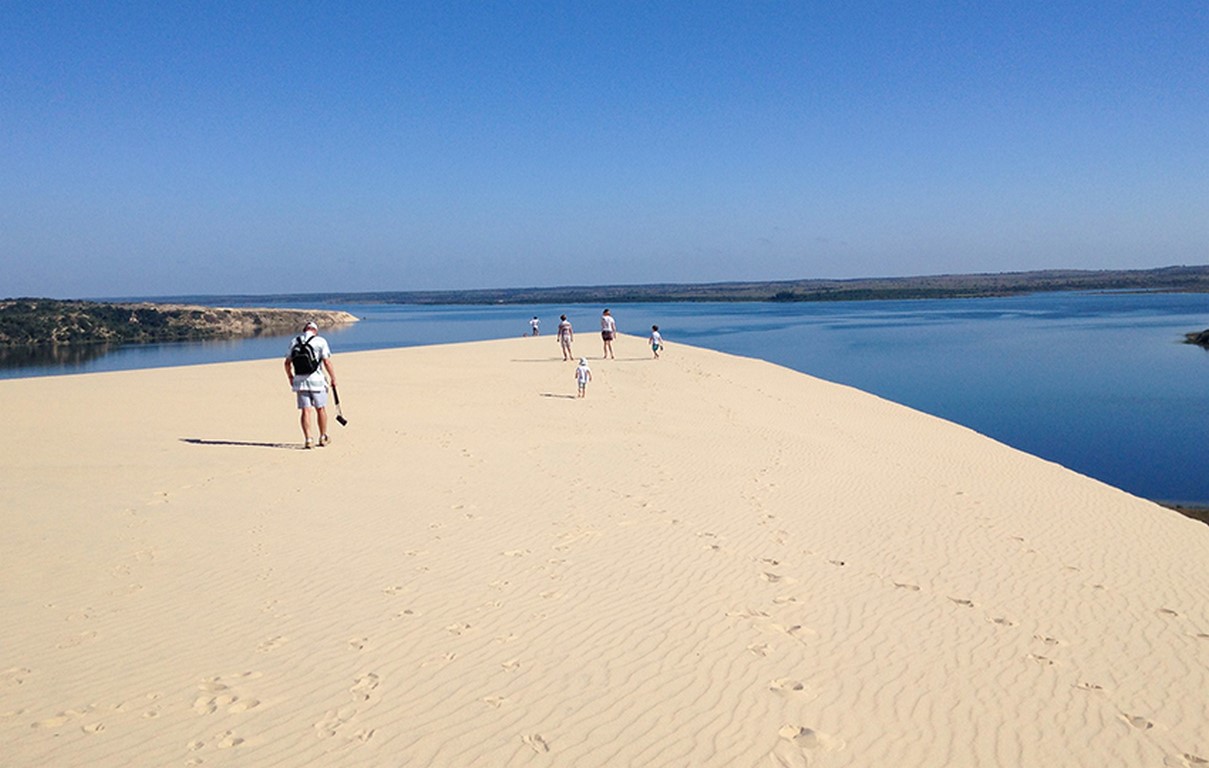 balene VIEW-34 (Copy)