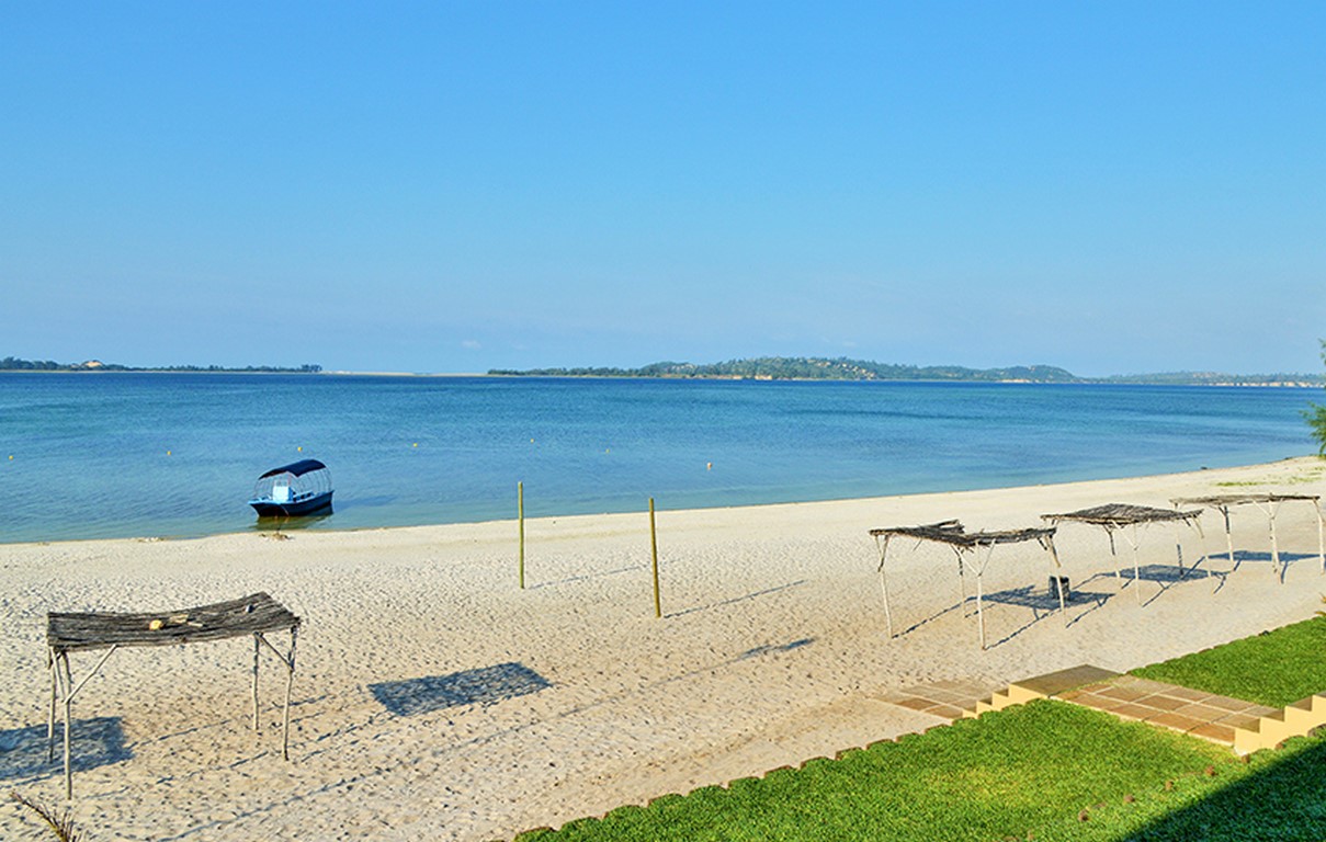 balene VIEW-7 (Copy)