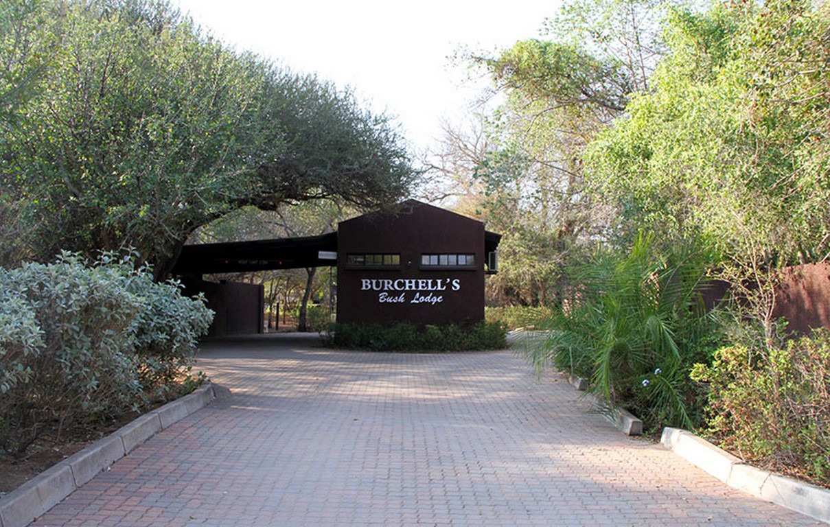 burchells-explore-1 (Copy)