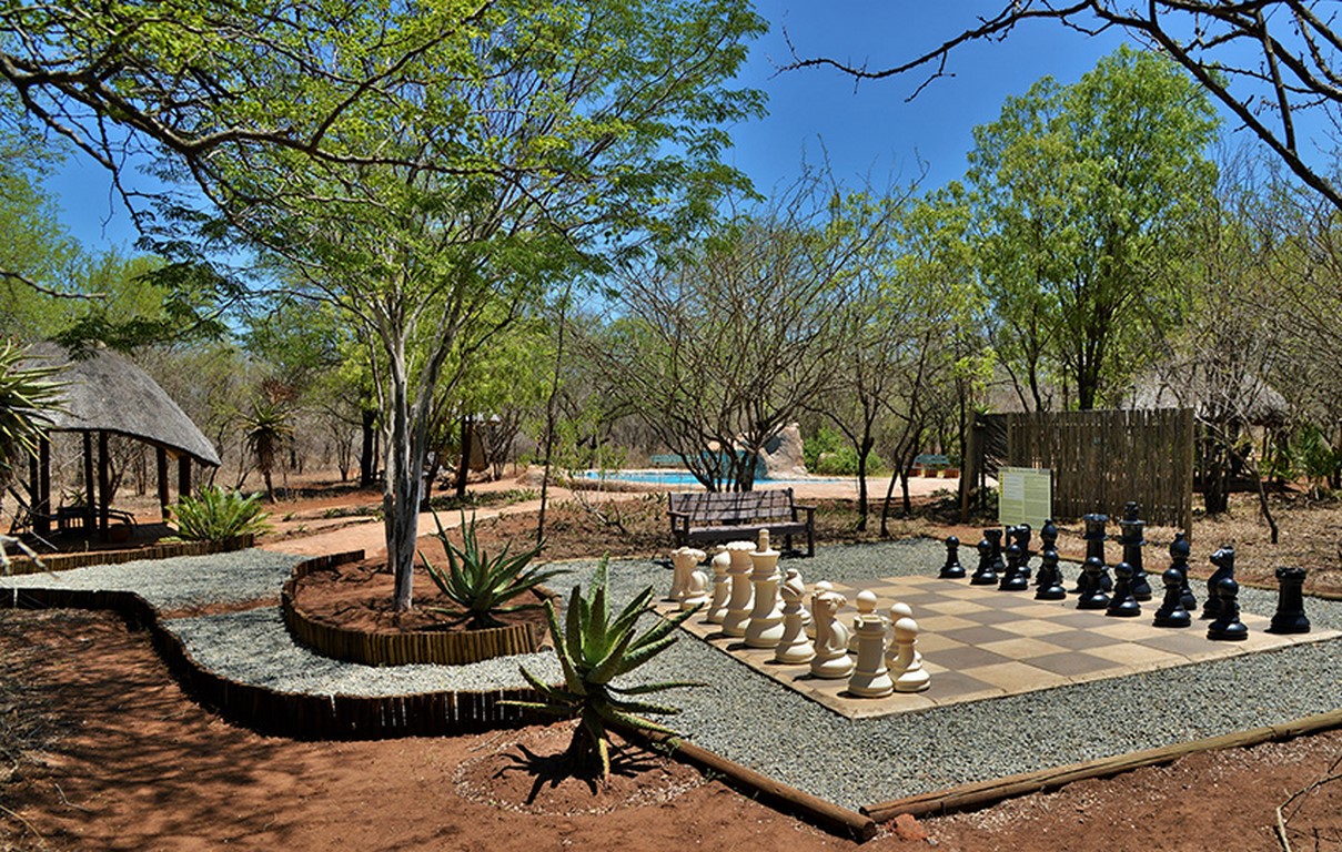 jackalberry CHESS-4 (Copy)