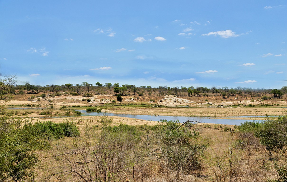 jackalberry VIEW-1 (Copy)