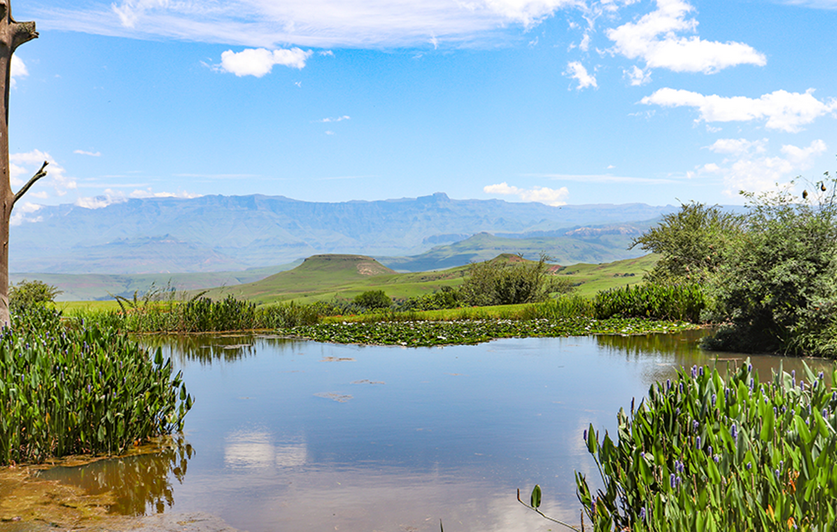 little switzerland 6 (Copy)