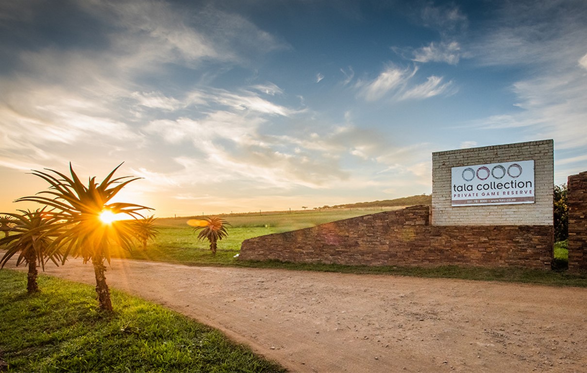 tala ENTRANCE-1 (Copy)