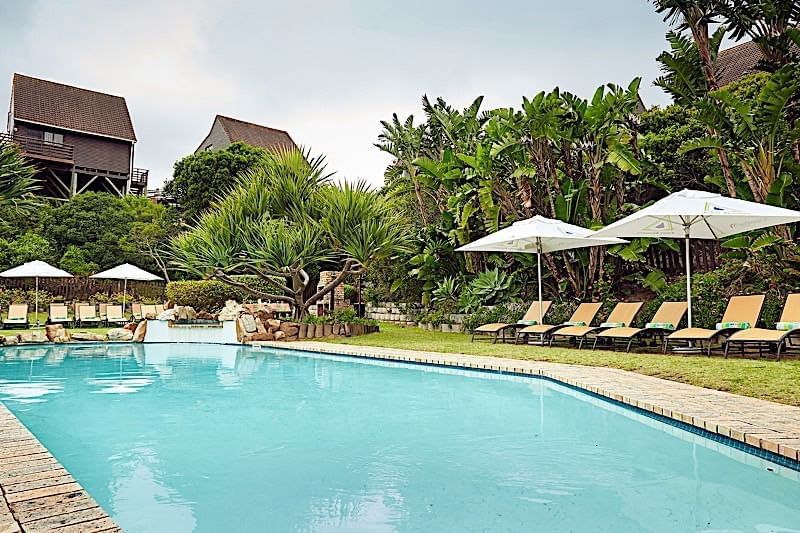 1551070082-5c73738260a2e-thumb